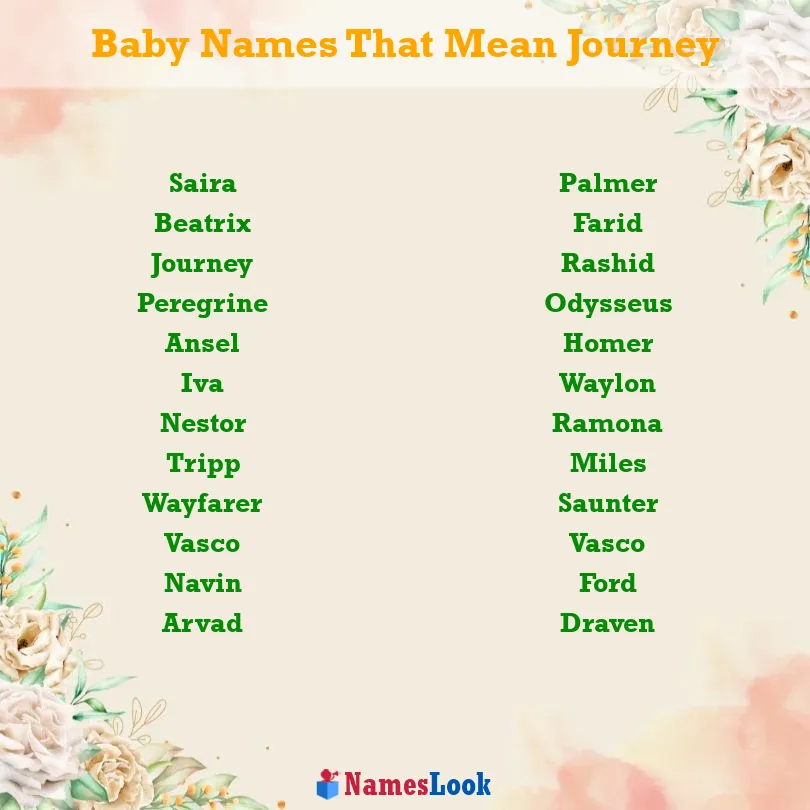 Baby Names That Mean Journey | Unique Names