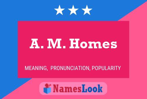 A. M. Homes 名字海报