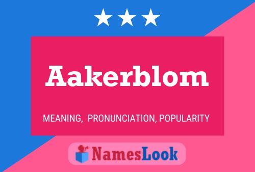 Aakerblom 名字海报