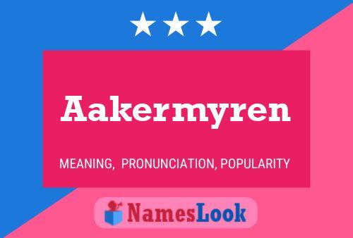 Aakermyren 名字海报