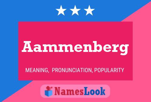 Aammenberg 名字海报