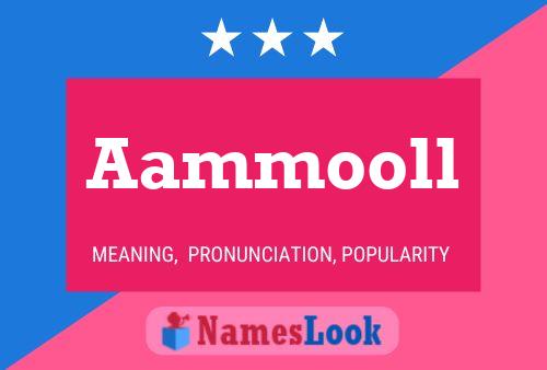 Aammooll 名字海报