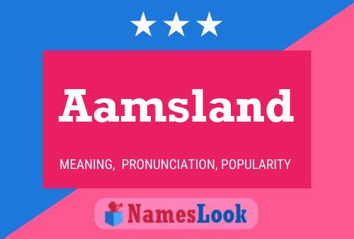 Aamsland 名字海报