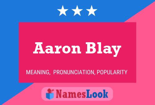 Aaron Blay 名字海报