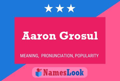 Aaron Grosul 名字海报