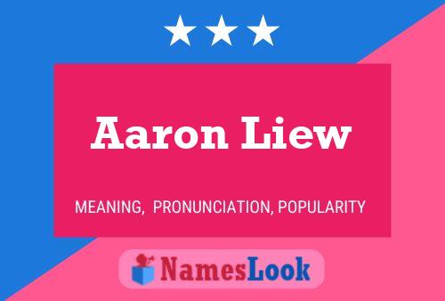 Aaron Liew 名字海报