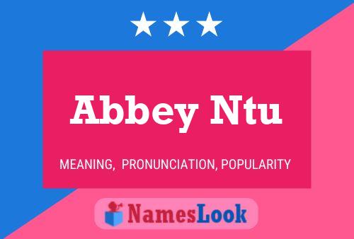 Abbey Ntu 名字海报