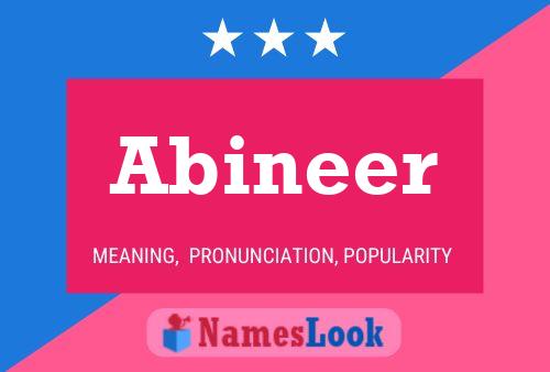 Abineer 名字海报