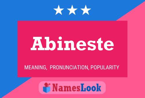 Abineste 名字海报