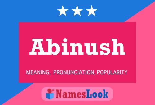 Abinush 名字海报