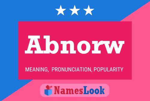 Abnorw 名字海报