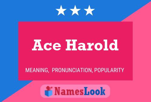 Ace Harold 名字海报