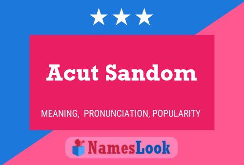 Acut Sandom 名字海报