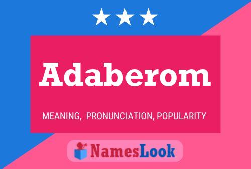 Adaberom 名字海报