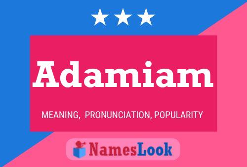 Adamiam 名字海报