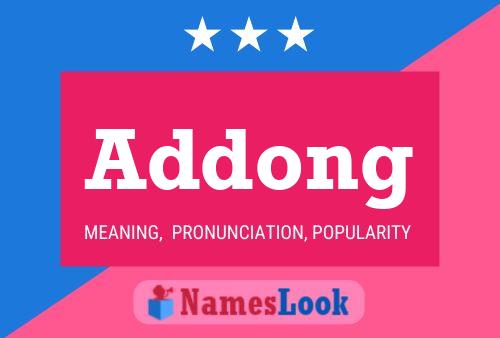 Addong 名字海报