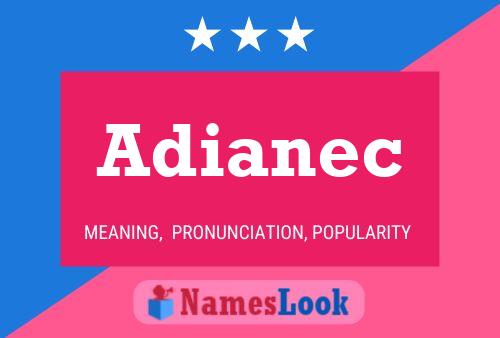 Adianec 名字海报