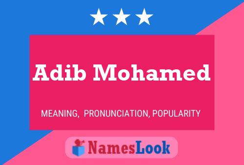 Adib Mohamed 名字海报