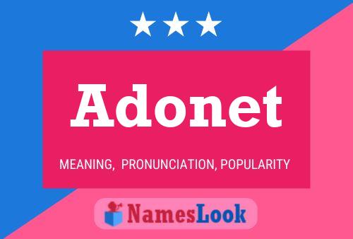 Adonet 名字海报