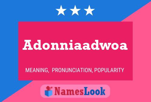 Adonniaadwoa 名字海报