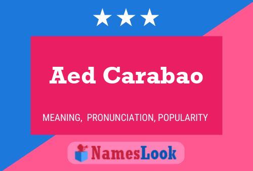 Aed Carabao 名字海报