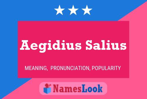 Aegidius Salius 名字海报