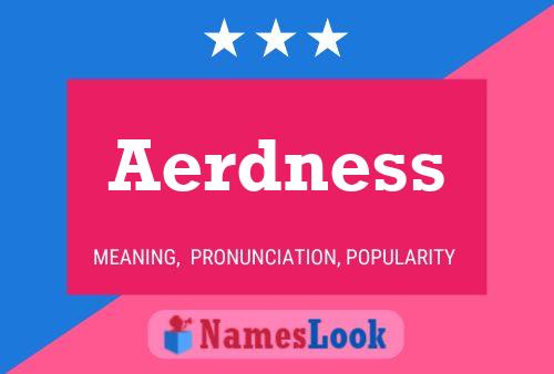 Aerdness 名字海报