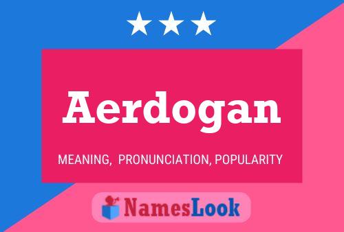 Aerdogan 名字海报