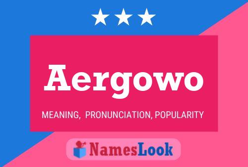 Aergowo 名字海报