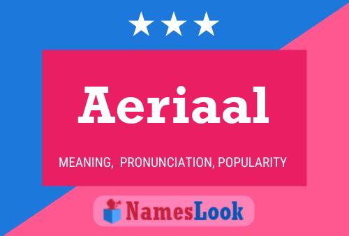 Aeriaal 名字海报