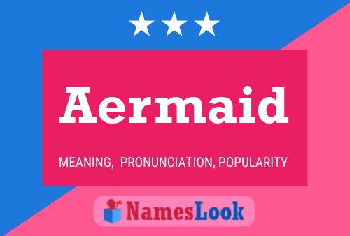 Aermaid 名字海报