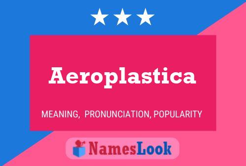 Aeroplastica 名字海报