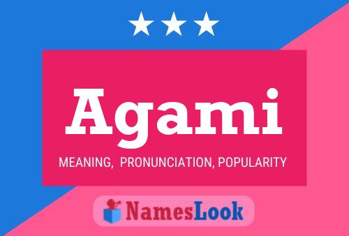 Agami 名字海报