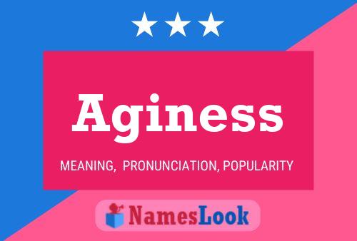 Aginess 名字海报