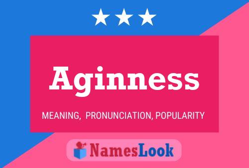 Aginness 名字海报