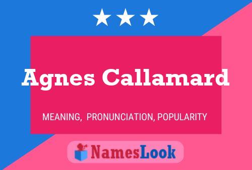 Agnes Callamard 名字海报