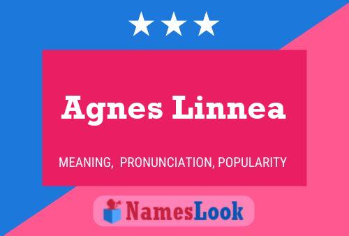 Agnes Linnea 名字海报