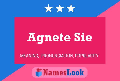 Agnete Sie 名字海报