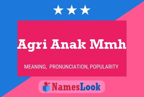 Agri Anak Mmh 名字海报