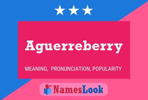 Aguerreberry 名字海报