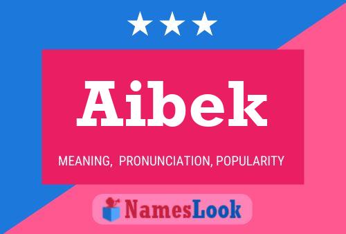 Aibek 名字海报