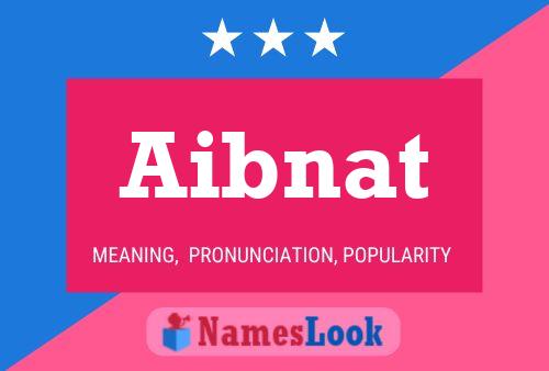 Aibnat 名字海报