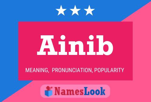 Ainib 名字海报