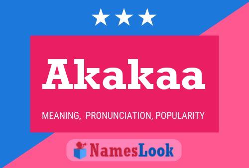 Akakaa 名字海报