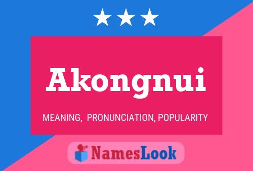 Akongnui 名字海报