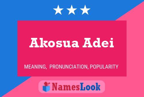 Akosua Adei 名字海报