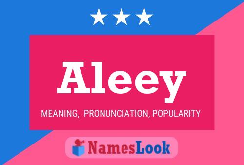 Aleey 名字海报