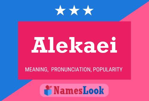 Alekaei 名字海报