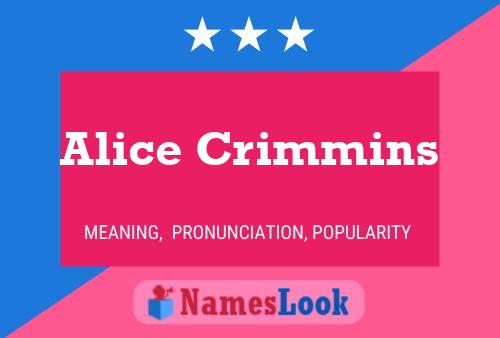 Alice Crimmins 名字海报