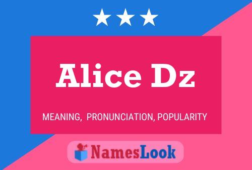 Alice Dz 名字海报